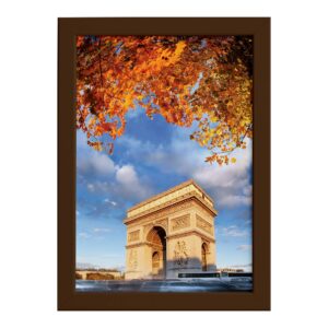 Quadro Foto Paris Arco Triunfo Flores Moldura Marrom