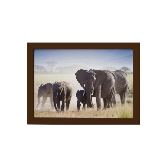 Quadro para Sala Foto Safari Elefante Moldura Marrom