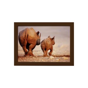 Quadro para Sala Foto Safari Rinoceronte Moldura Marrom