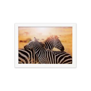 Quadro para Sala Foto Safari Zebra Moldura Branca