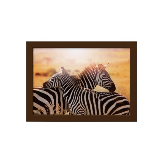 Quadro para Sala Foto Safari Zebra Moldura Marrom